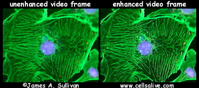 Video Enhancement